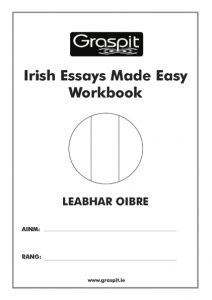 Irish Essays Made Easy